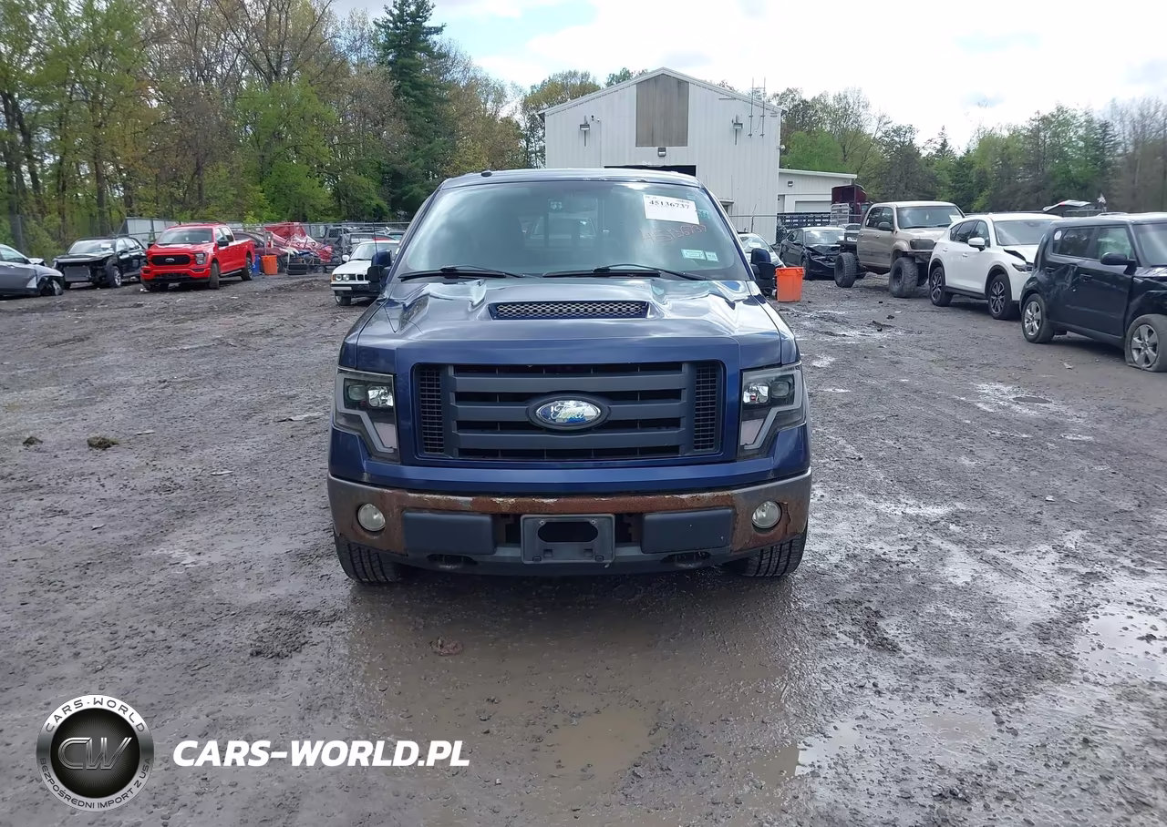 2009 Ford F-150 Fx4-Lariat-Xl-Xlt VIN:1FTPX14V49FB12316 - 6