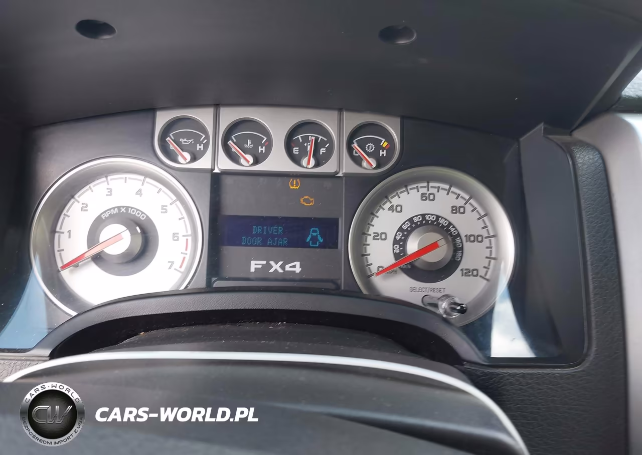 2009 Ford F-150 Fx4-Lariat-Xl-Xlt VIN:1FTPX14V49FB12316 - 7