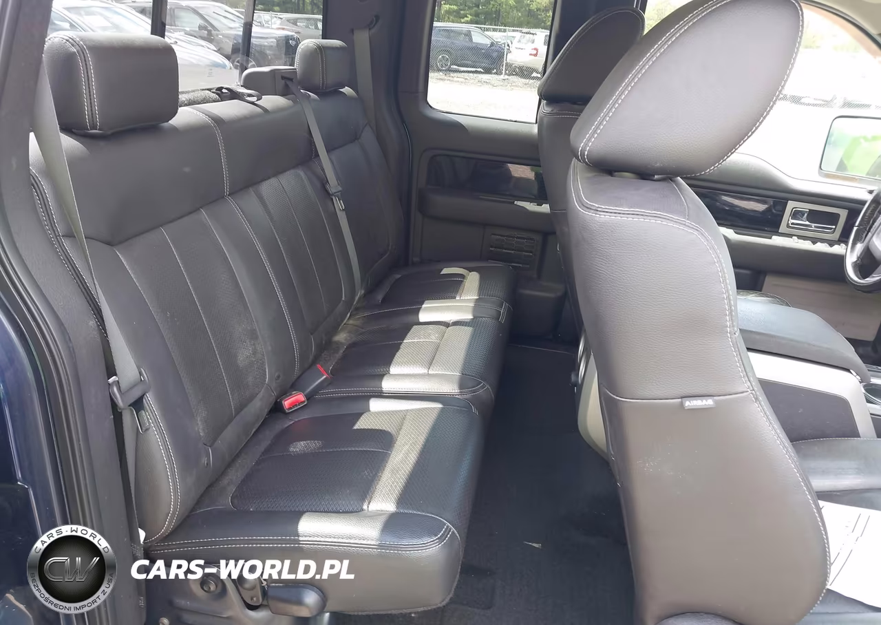 2009 Ford F-150 Fx4-Lariat-Xl-Xlt VIN:1FTPX14V49FB12316 - 8
