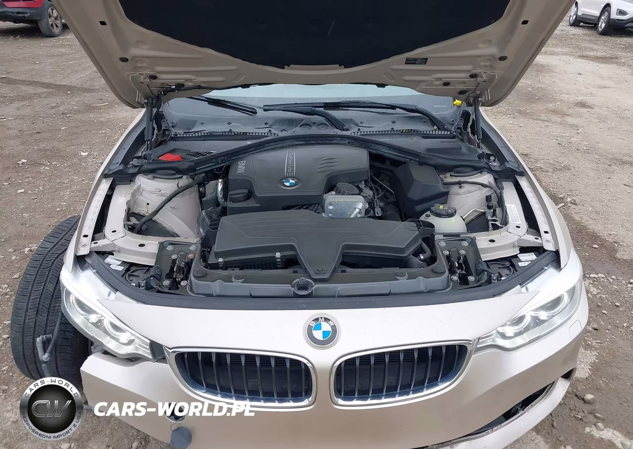 2015 BMW 428I xDrive VIN:WBA3N5C56FK197785 - 10