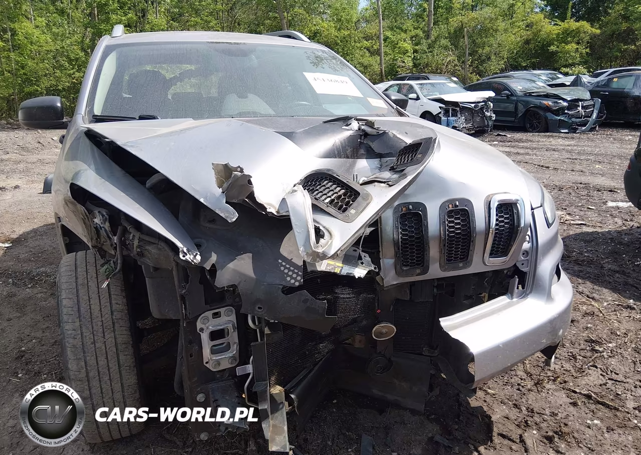2016 Jeep Cherokee Sport VIN:1C4PJMAB4GW143236 - 13