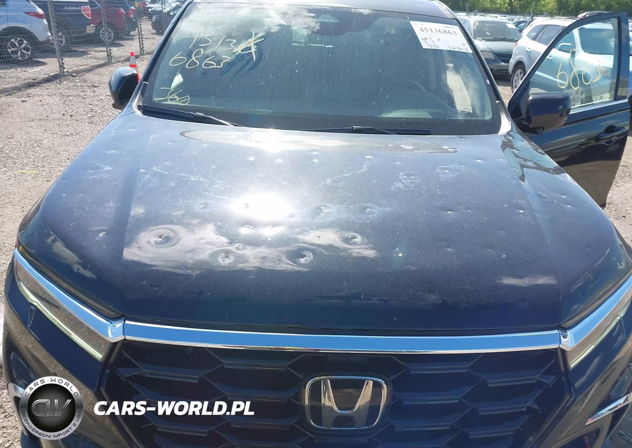 2024 Honda Pilot Touring VIN:5FNYG1H71RB002120 - 6