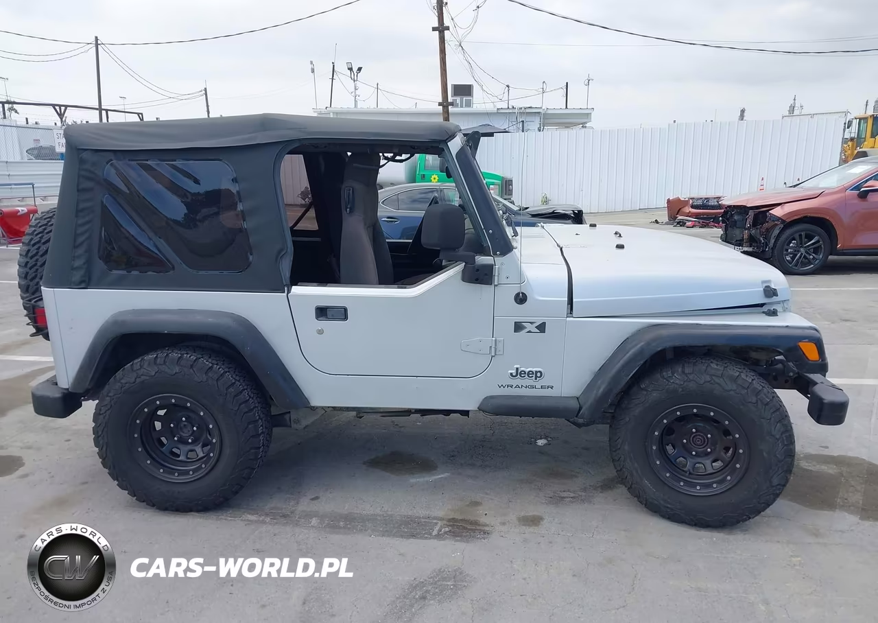 2003 Jeep Wrangler X VIN:1J4FA39S73P302467 - 13