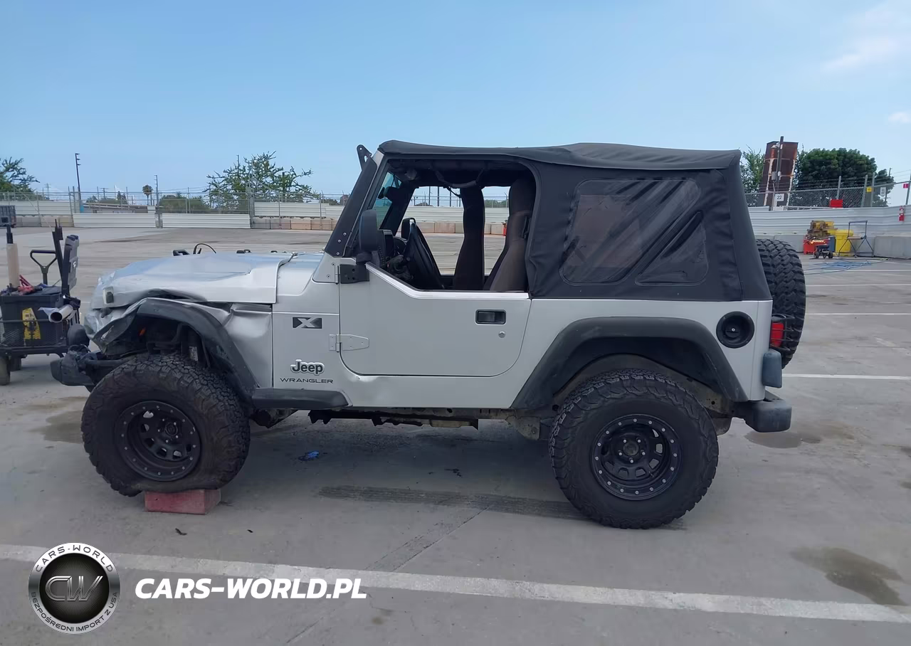 2003 Jeep Wrangler X VIN:1J4FA39S73P302467 - 14