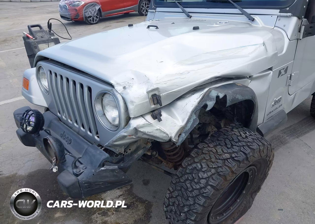2003 Jeep Wrangler X VIN:1J4FA39S73P302467 - 6