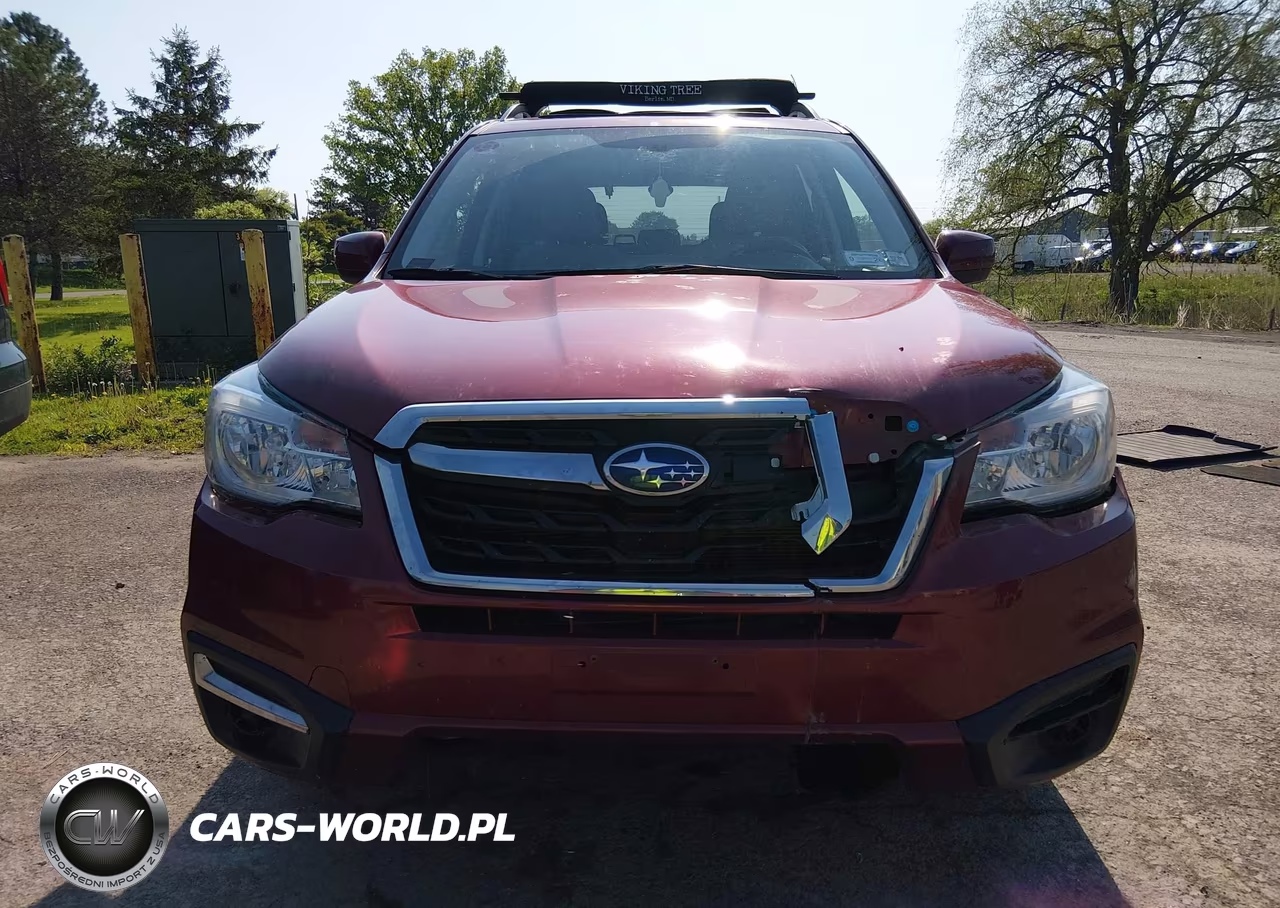 2018 Subaru Forester 2.5I Premium VIN:JF2SJAEC9JH533466 - 13