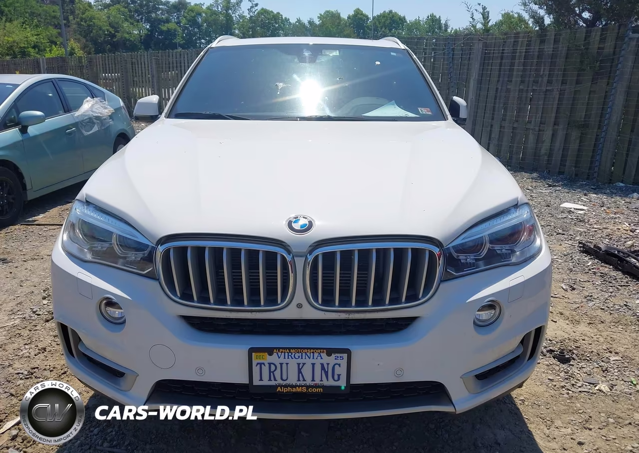 2017 BMW X5 Edrive xDrive40E Iperformance VIN:5UXKT0C39H0V96015 - 12