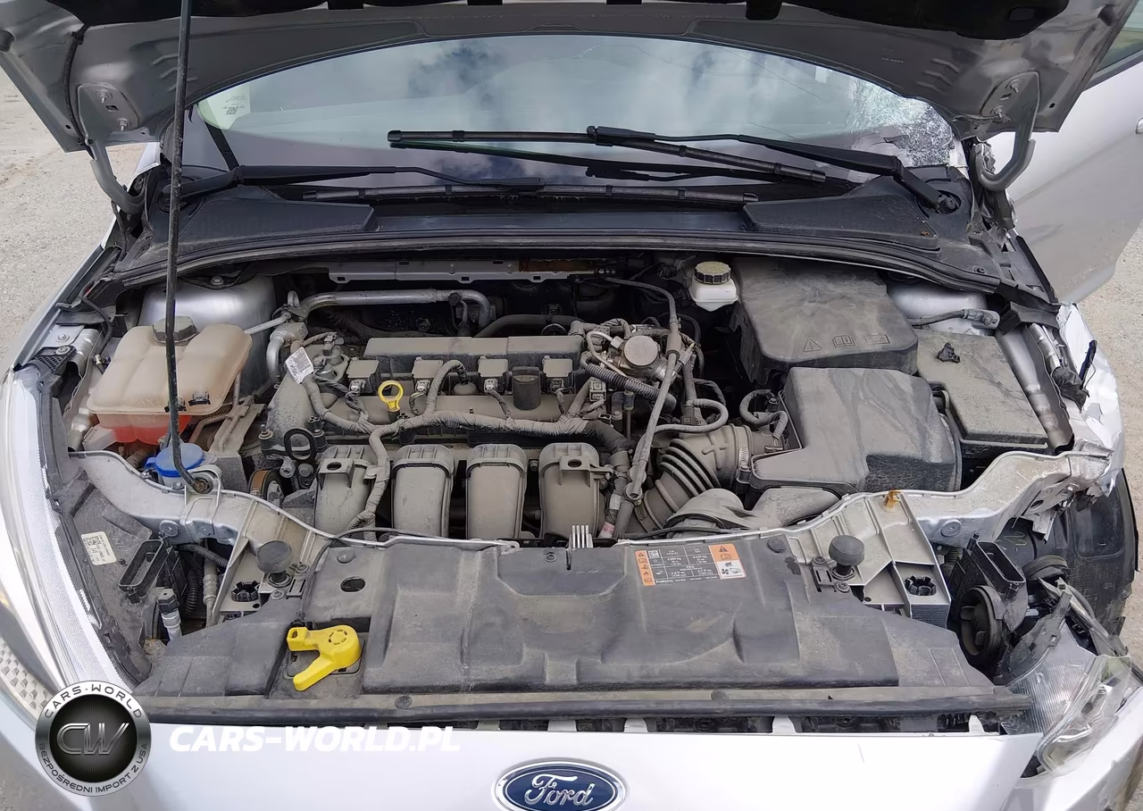 2017 Ford Focus Se VIN:1FADP3F2XHL330445 - 10