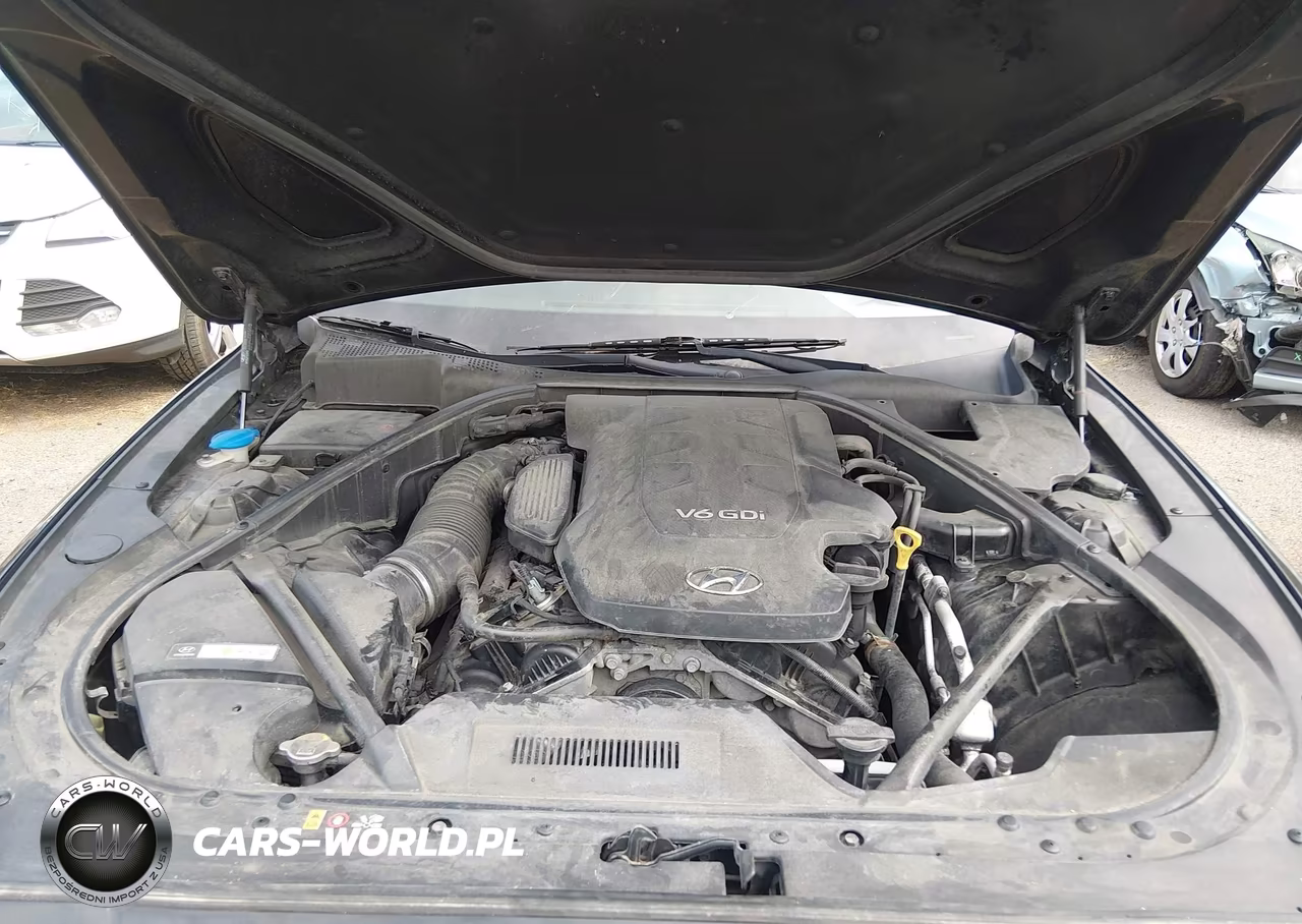 2015 Hyundai Genesis 3.8 VIN:KMHGN4JE0FU032848 - 10