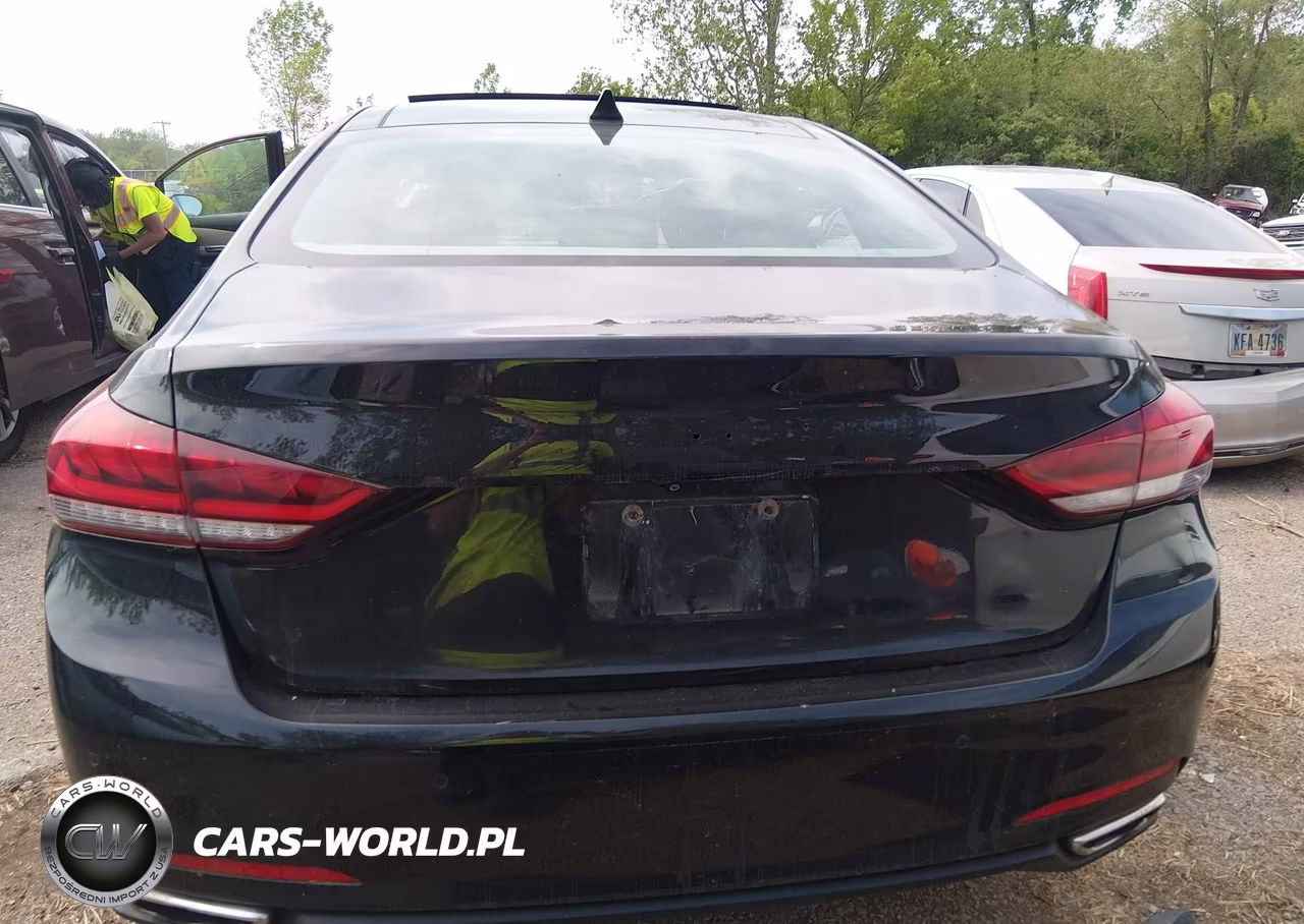 2015 Hyundai Genesis 3.8 VIN:KMHGN4JE0FU032848 - 16