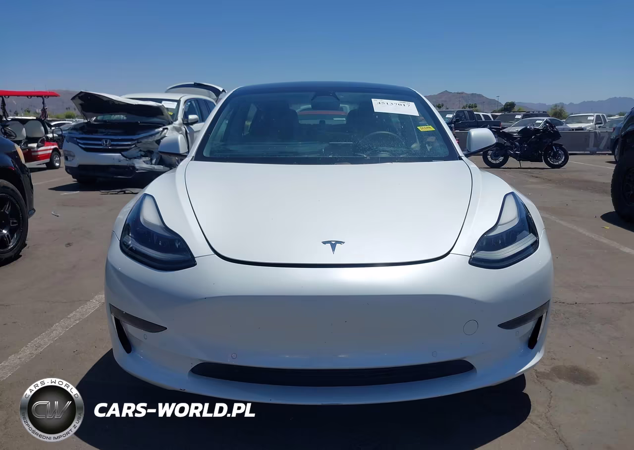 2021 Tesla Model 3 Standard Range Plus Rear-Wheel Drive VIN:5YJ3E1EA0MF031925 - 12
