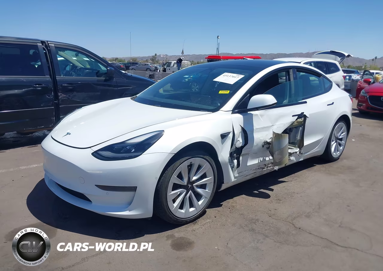 2021 Tesla Model 3 Standard Range Plus Rear-Wheel Drive VIN:5YJ3E1EA0MF031925 - 2