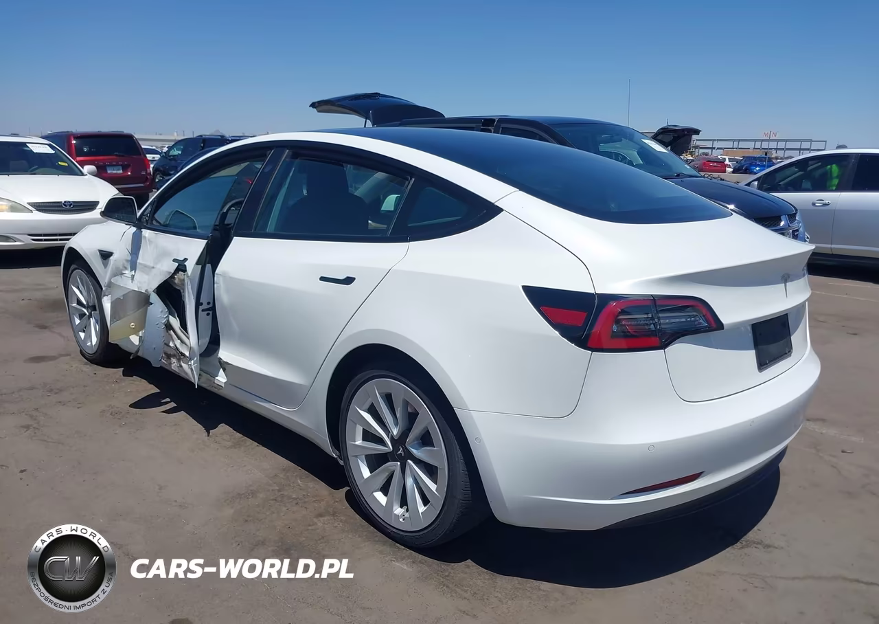 2021 Tesla Model 3 Standard Range Plus Rear-Wheel Drive VIN:5YJ3E1EA0MF031925 - 3