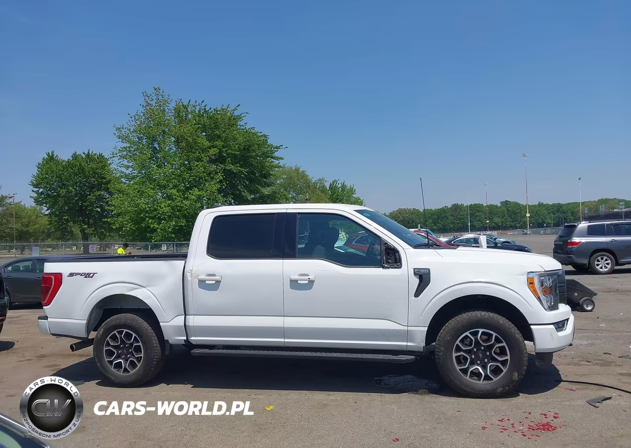 2023 Ford F-150 Xlt VIN:1FTEW1EP0PFB12997 - 13