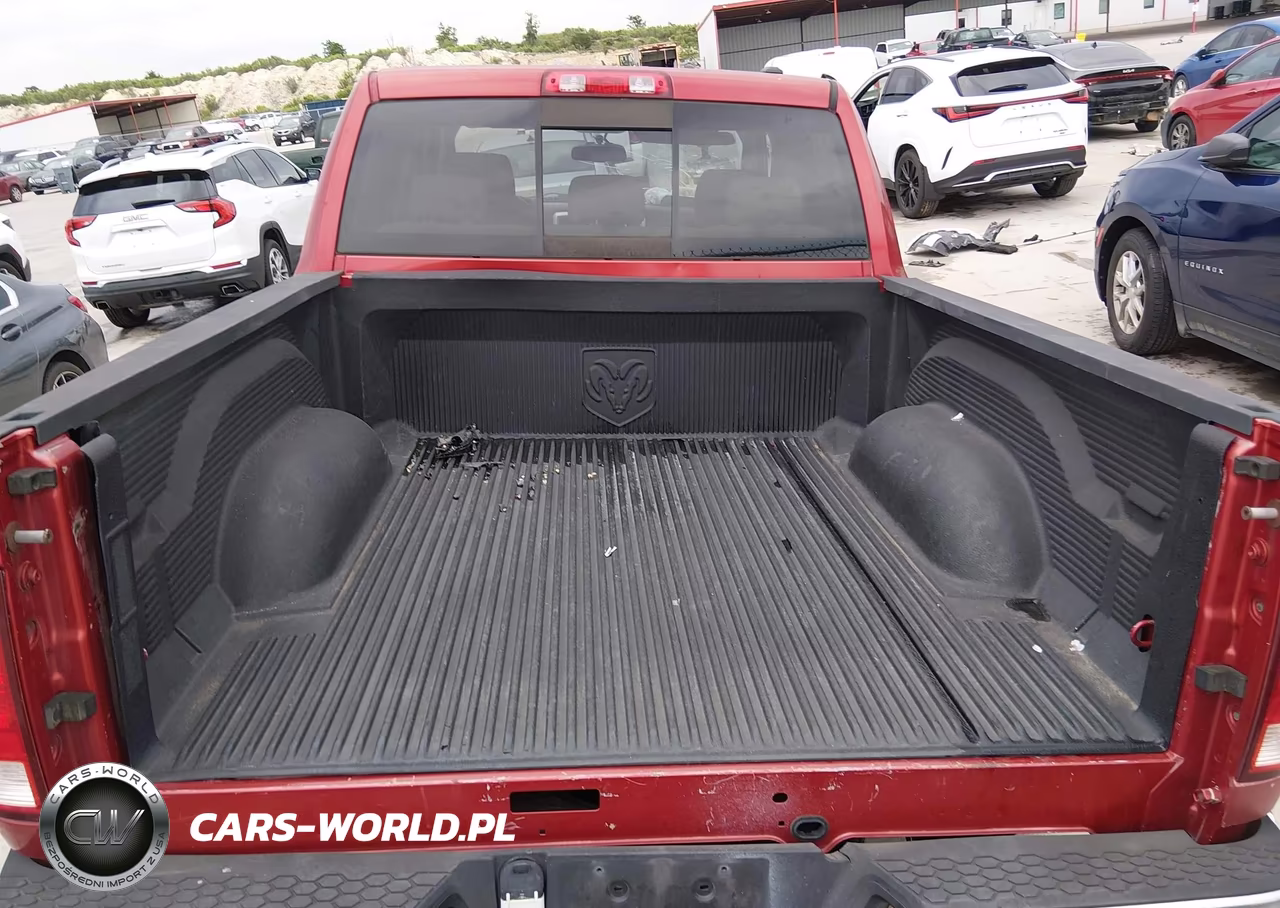 2010 Dodge Ram 1500 Slt-Sport-Trx VIN:1D7RB1CT7AS126218 - 16