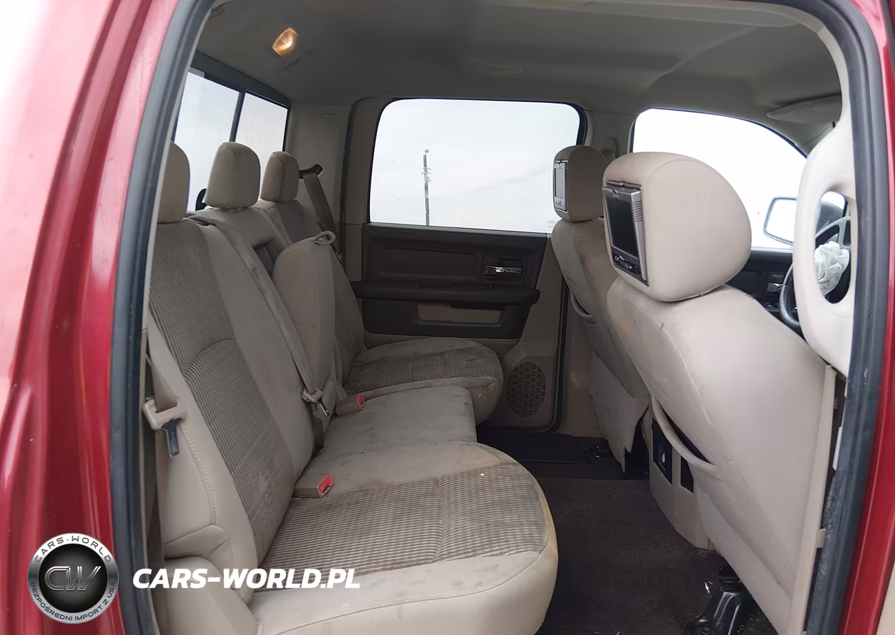 2010 Dodge Ram 1500 Slt-Sport-Trx VIN:1D7RB1CT7AS126218 - 8