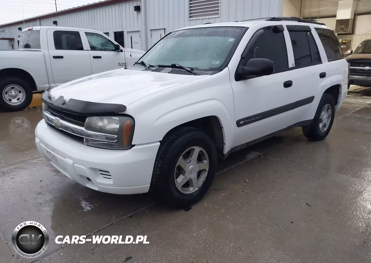2004 Chevrolet Trailblazer Ls VIN:1GNDT13S742329534 - 2