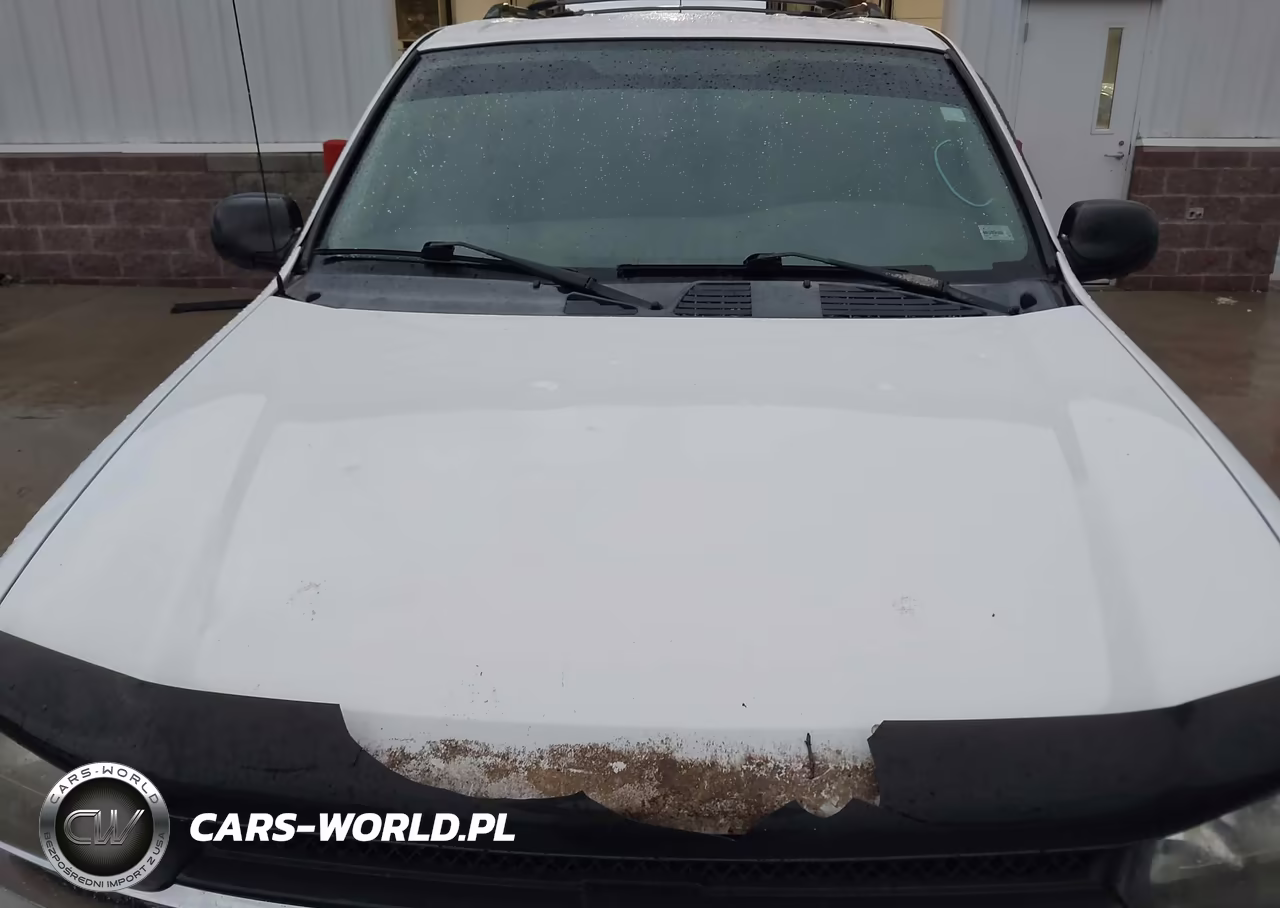 2004 Chevrolet Trailblazer Ls VIN:1GNDT13S742329534 - 6