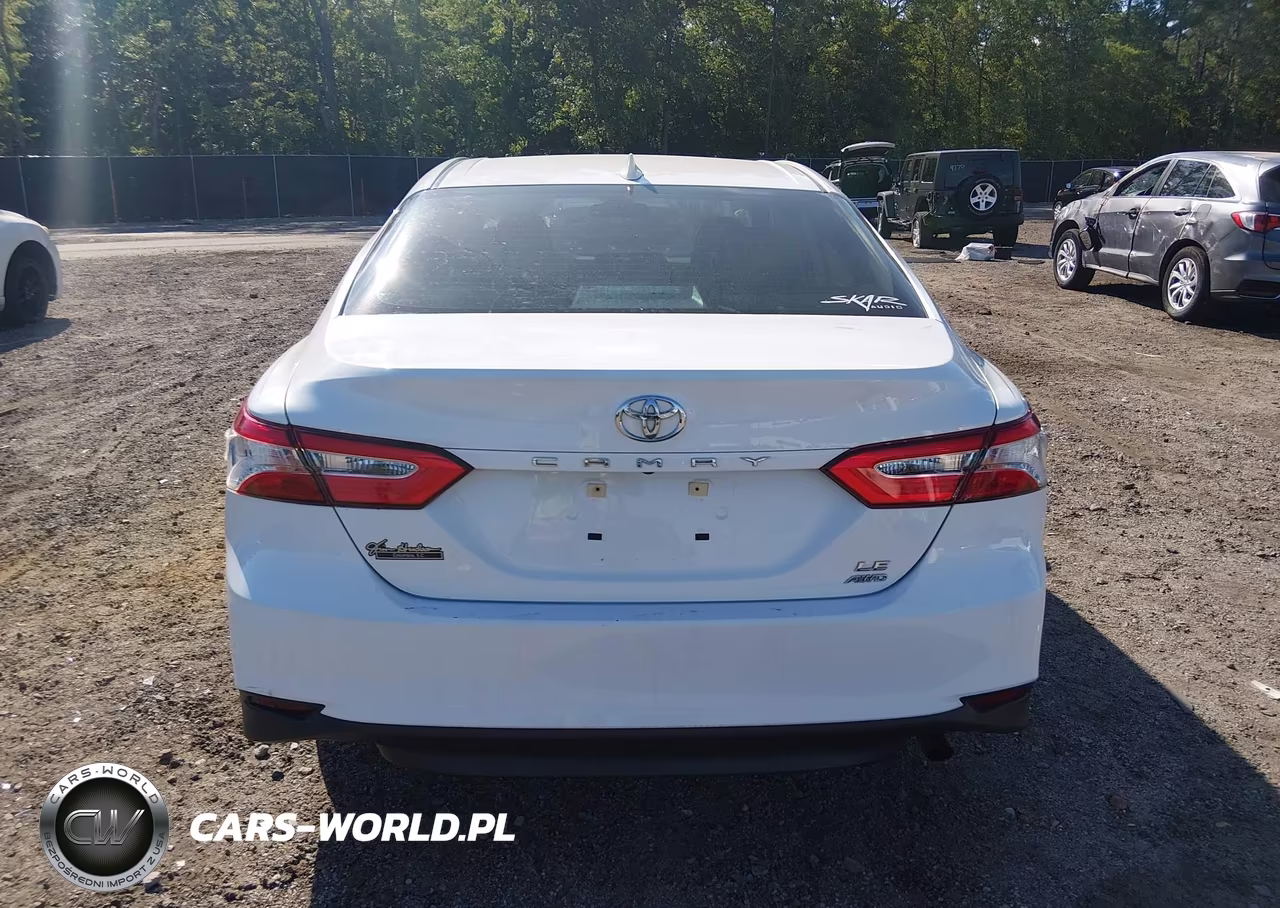 2020 Toyota Camry Le Awd VIN:4T1C11BK1LU003979 - 16