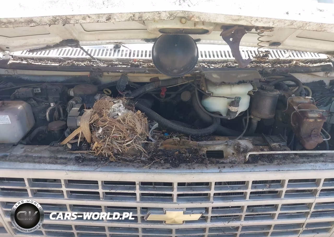 1995 Chevrolet G20 VIN:1GCEG25K1SF249463 - 10