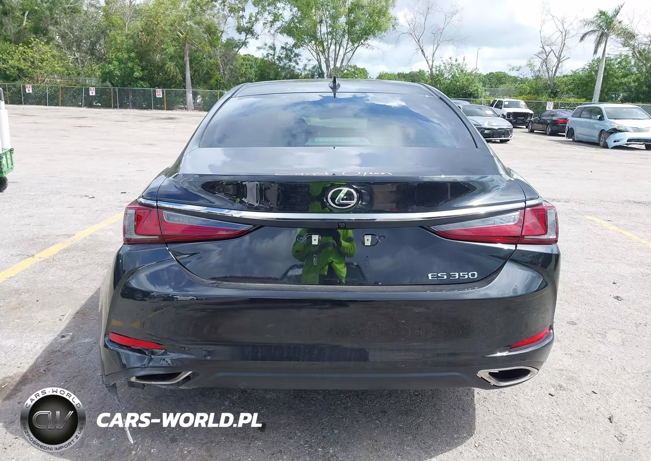 2023 Lexus Es 350 VIN:58ACZ1B10PU146307 - 17