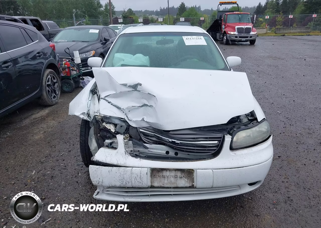 2002 Chevrolet Malibu Ls VIN:1G1NE52J92M595980 - 12