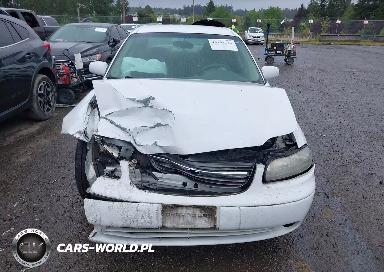 2002 Chevrolet Malibu Ls VIN:1G1NE52J92M595980 - 6