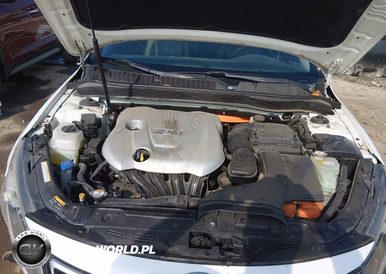 2013 Kia Optima Hybrid Ex VIN:KNAGM4AD0D5041097 - 10