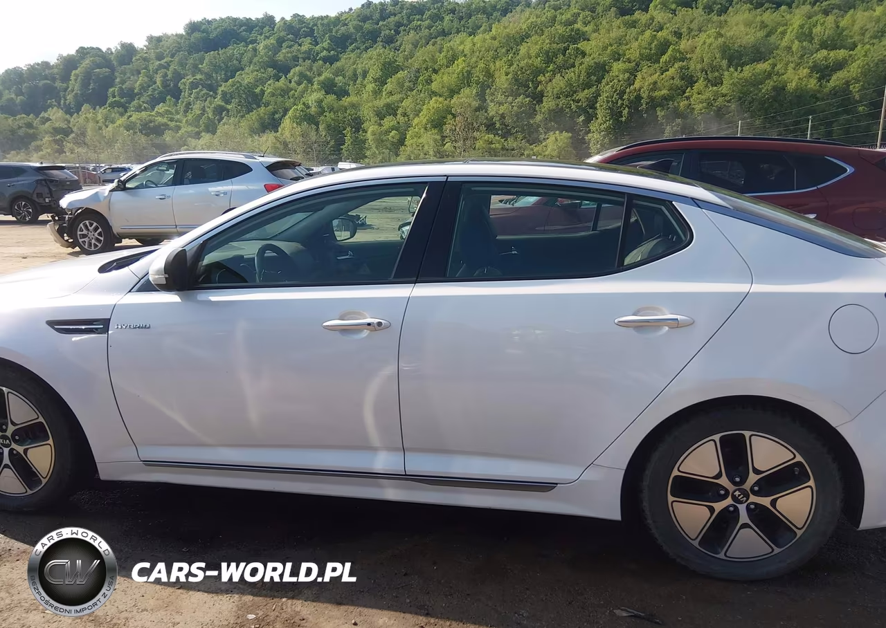 2013 Kia Optima Hybrid Ex VIN:KNAGM4AD0D5041097 - 15