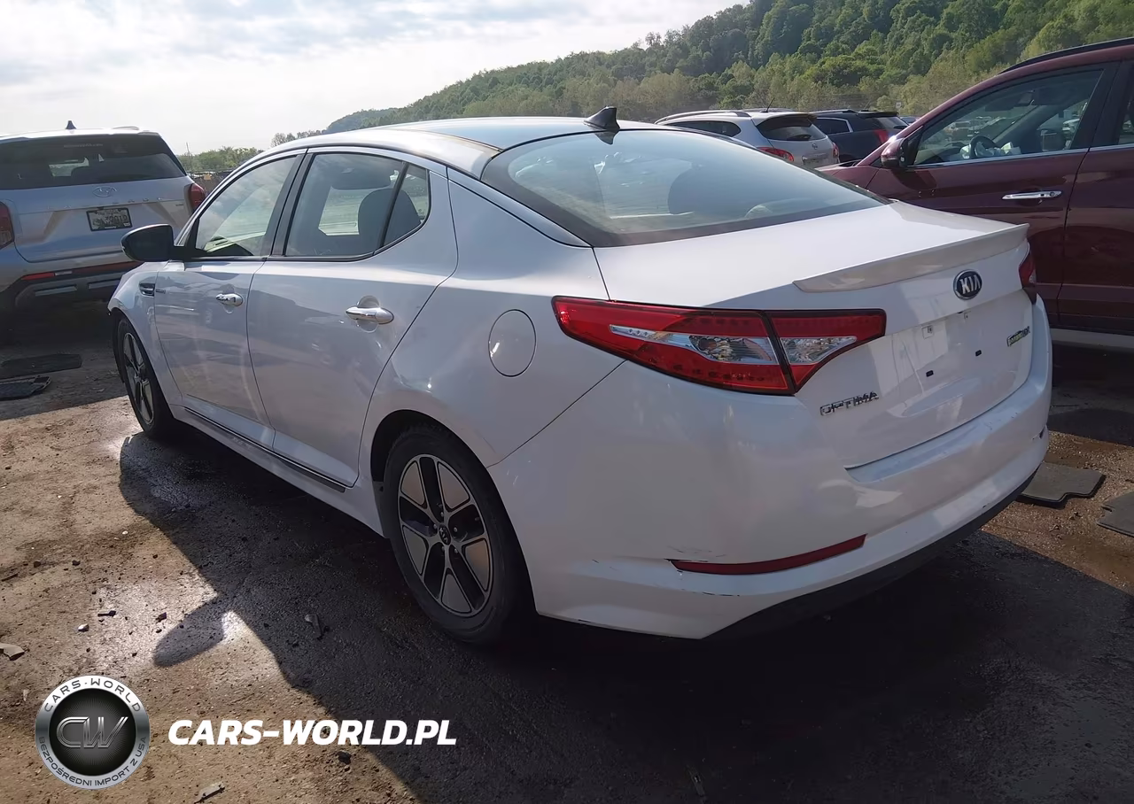 2013 Kia Optima Hybrid Ex VIN:KNAGM4AD0D5041097 - 3
