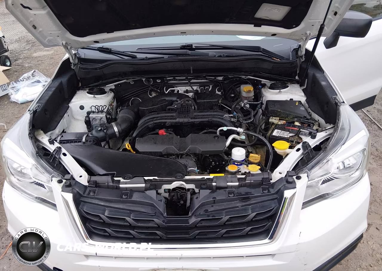 2017 Subaru Forester 2.5I VIN:JF2SJABC0HH435988 - 10