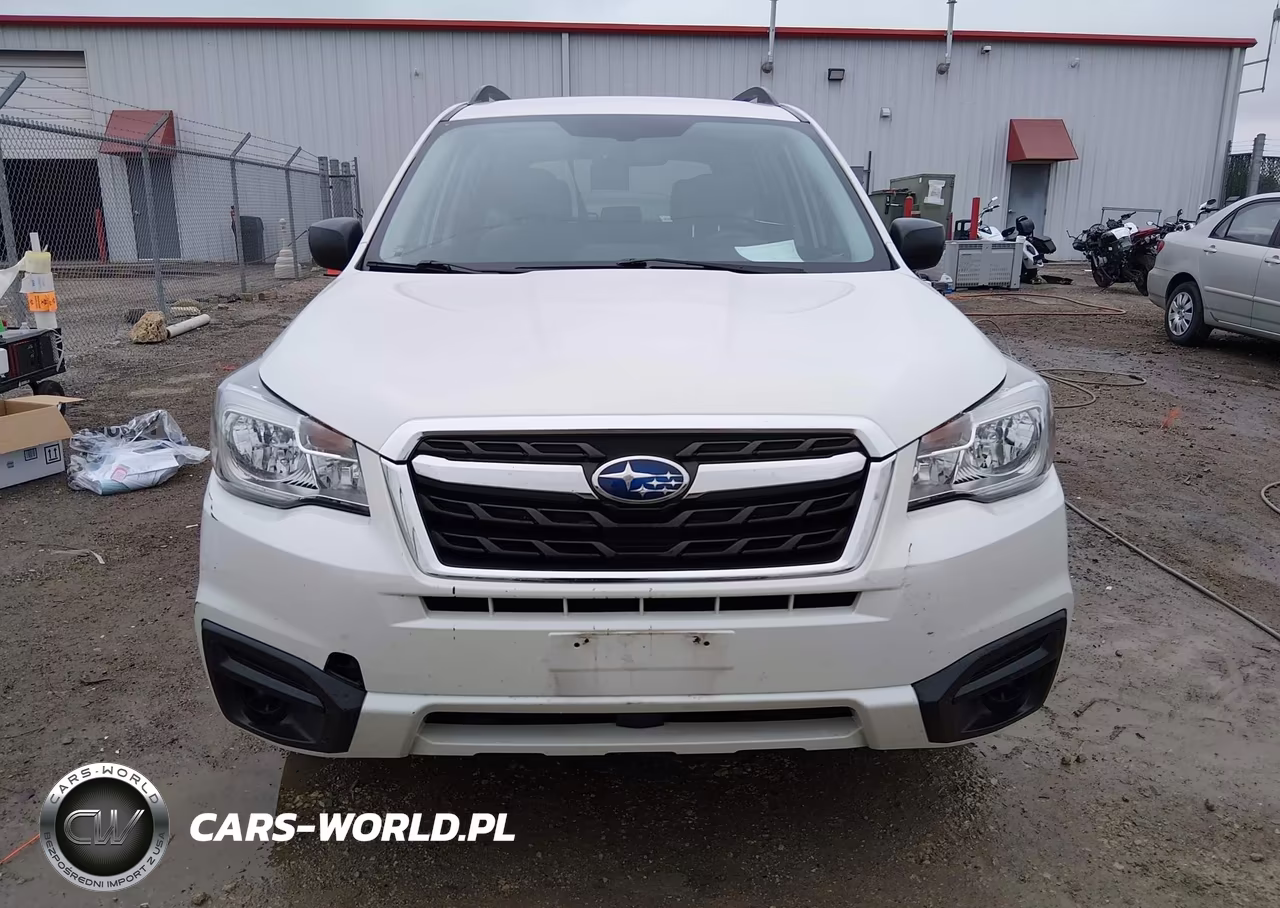 2017 Subaru Forester 2.5I VIN:JF2SJABC0HH435988 - 13