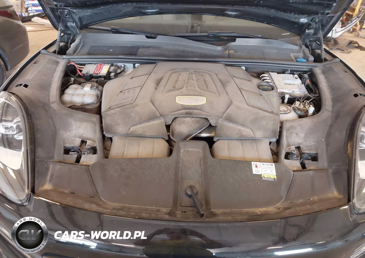 2023 Porsche Cayenne E-Hybrid Platinum Edition VIN:WP1AE2AY9PDA12784 - 10