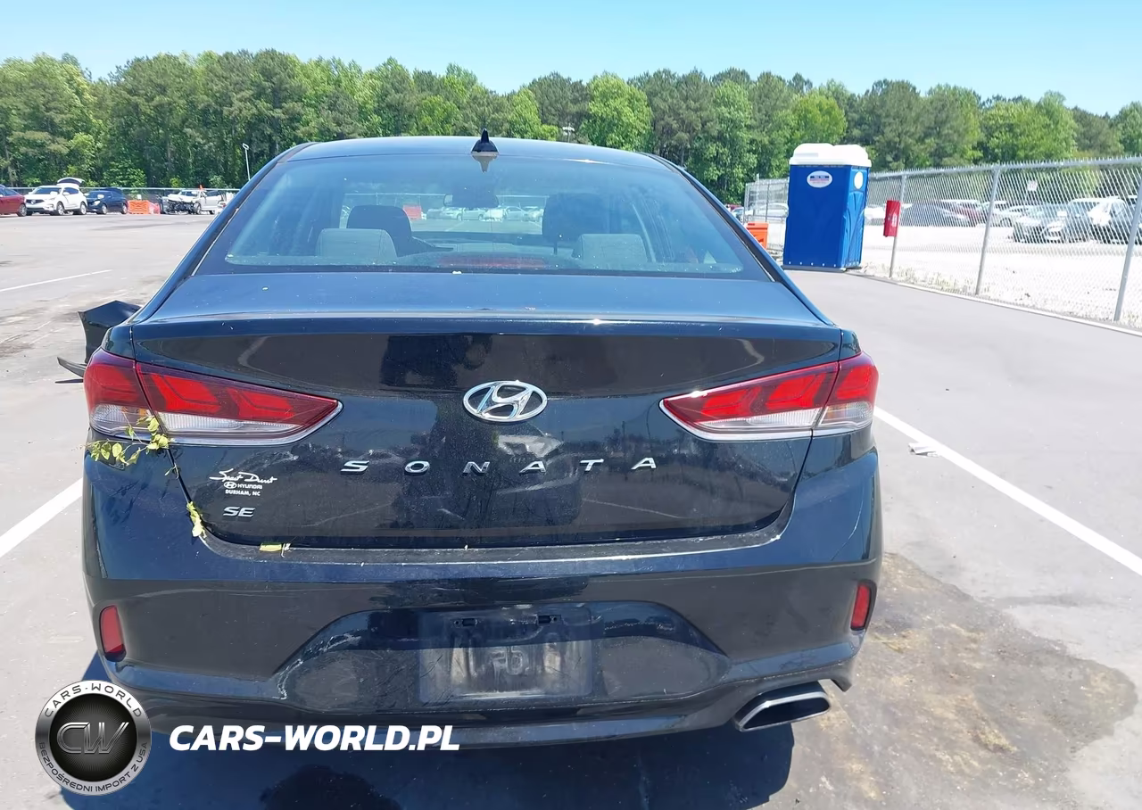 2019 Hyundai Sonata Se VIN:5NPE24AFXKH744169 - 17