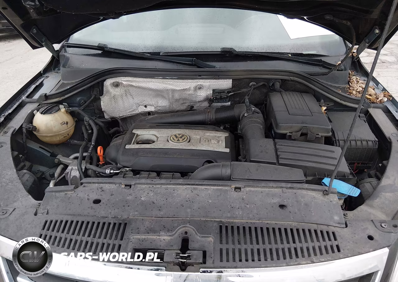 2009 Volkswagen Tiguan Se VIN:WVGBV75N19W527557 - 10