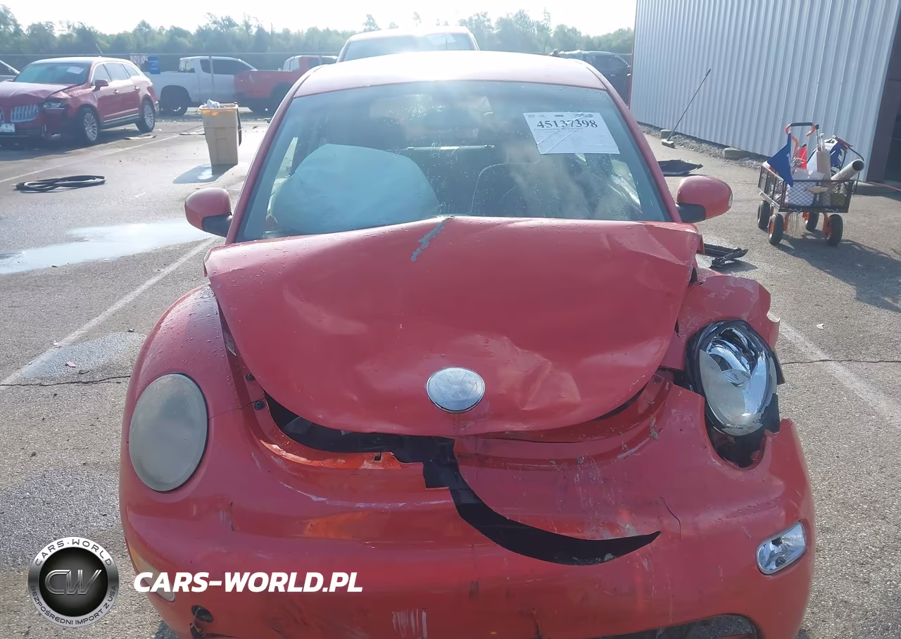 2003 Volkswagen New Beetle Gl VIN:3VWBK21CX3M443813 - 12