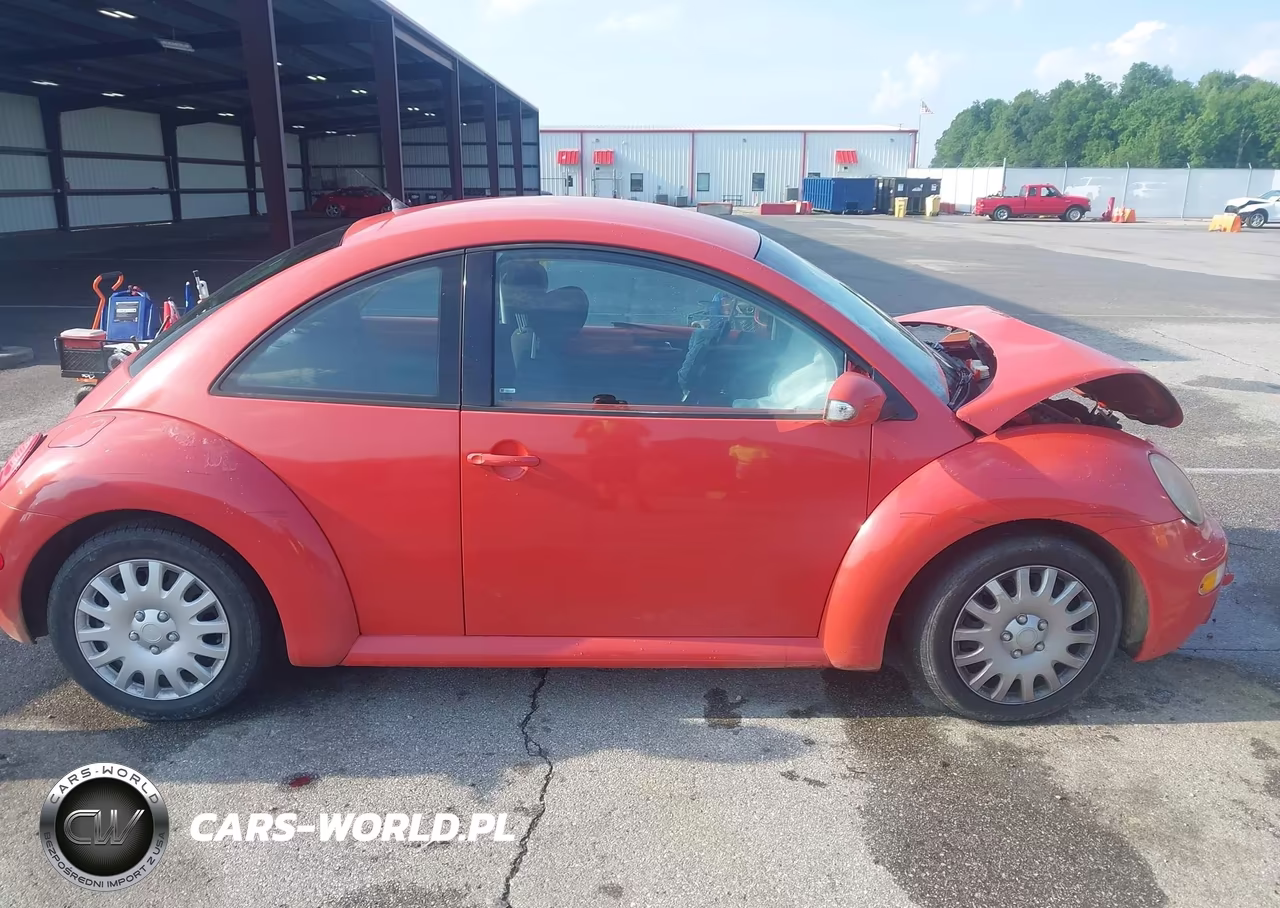 2003 Volkswagen New Beetle Gl VIN:3VWBK21CX3M443813 - 13