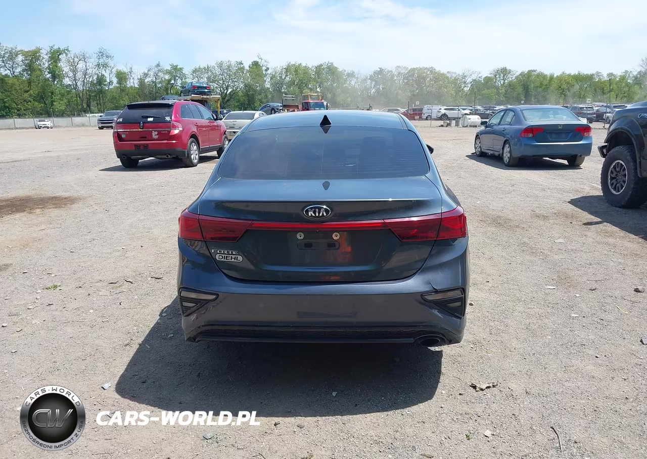 2020 Kia Forte Lxs VIN:3KPF24AD6LE198186 - 17