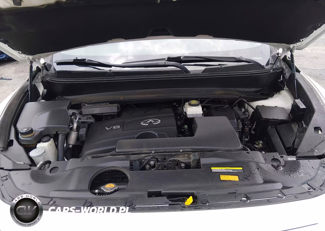 2019 Infiniti Qx60 Luxe VIN:5N1DL0MM2KC506111 - 10