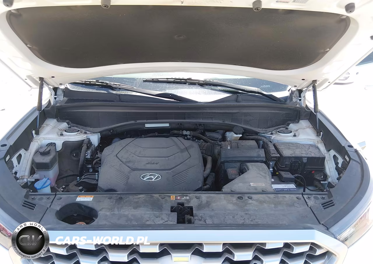 2021 Hyundai Palisade Sel VIN:KM8R44HE4MU281734 - 10