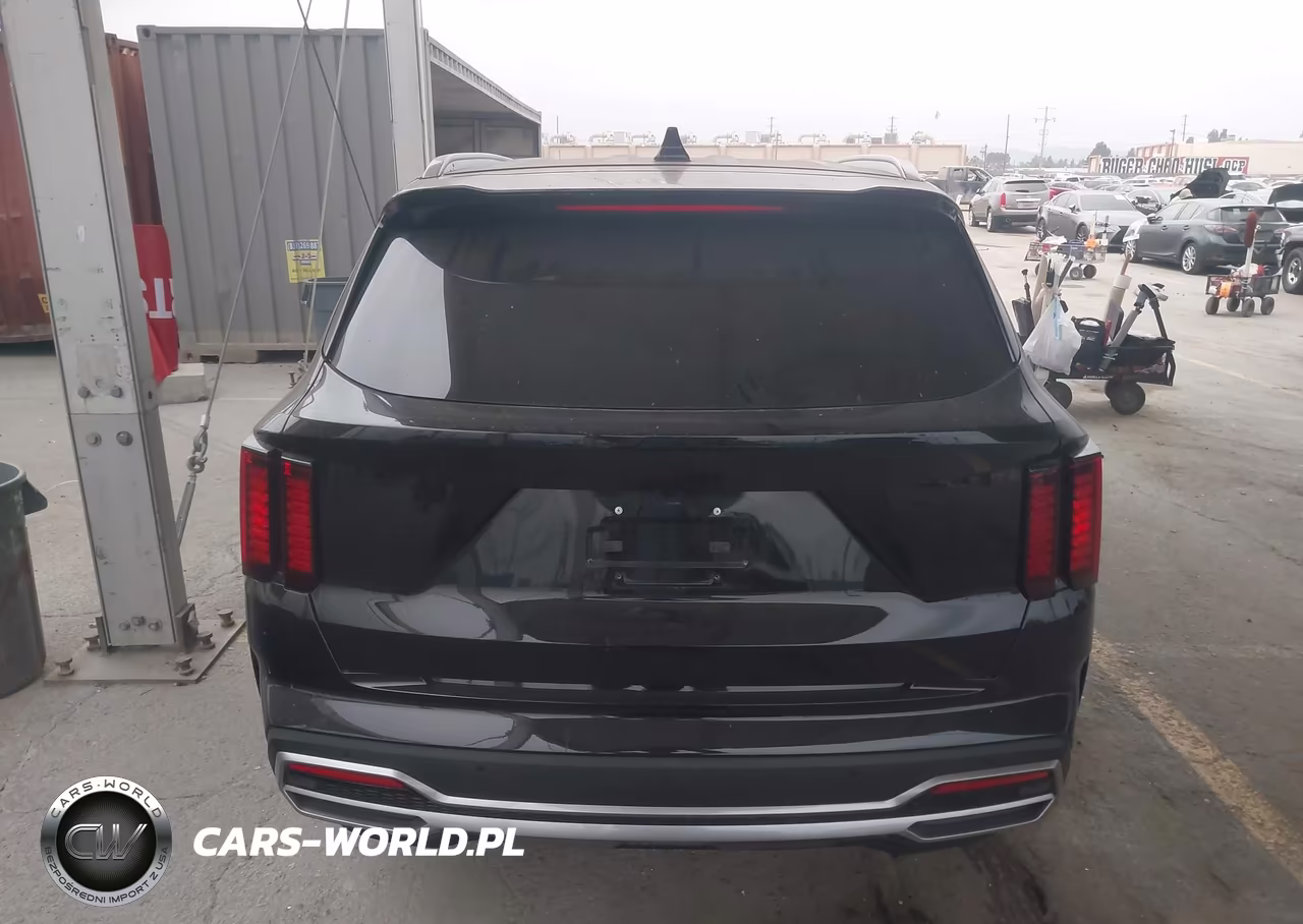 2024 Kia Sorento Hybrid Ex VIN:KNDRHDLG7R5259648 - 17