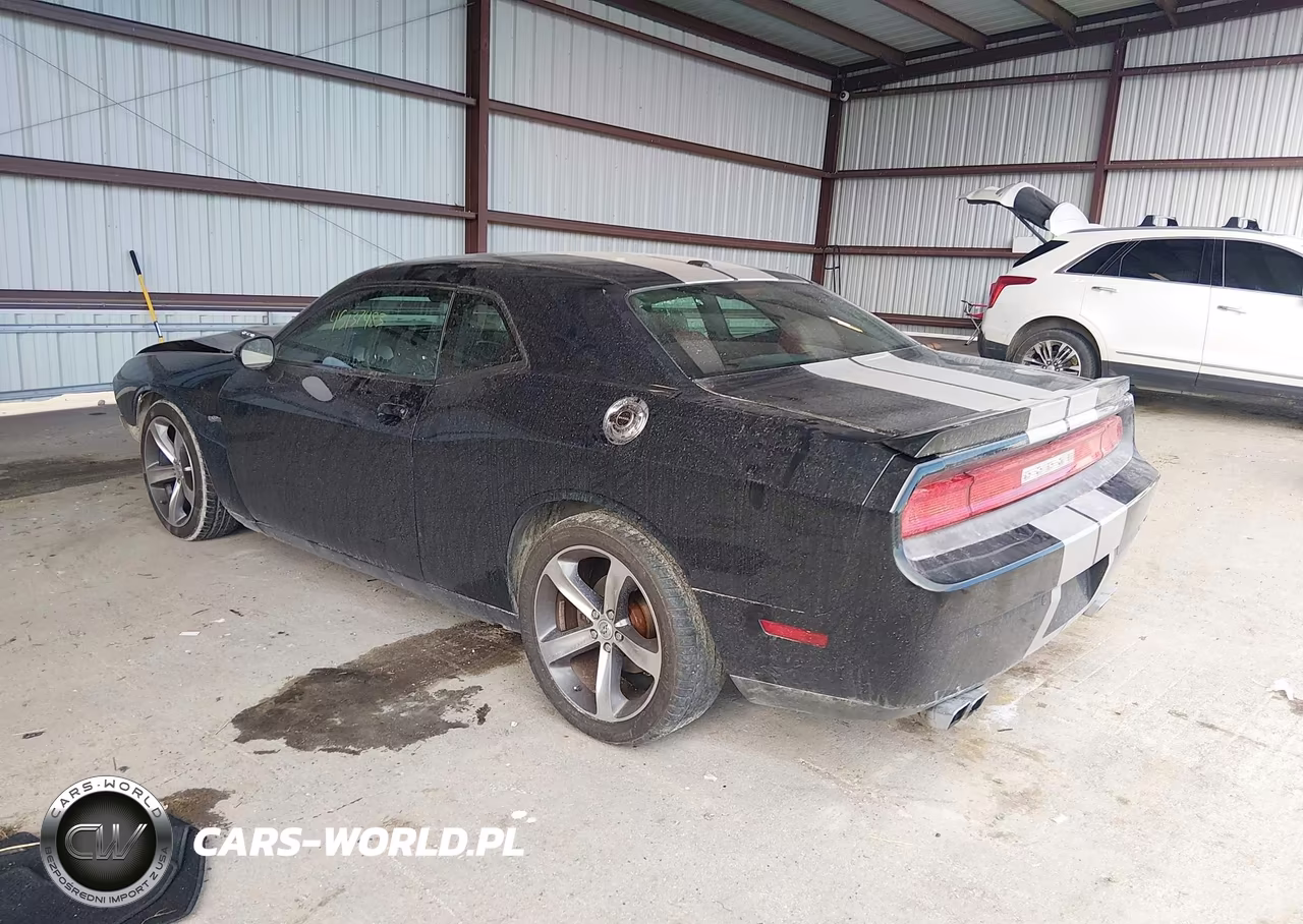 2014 Dodge Challenger R-T 100Th Anniversary Appearance Group VIN:2C3CDYBT0EH224741 - 3