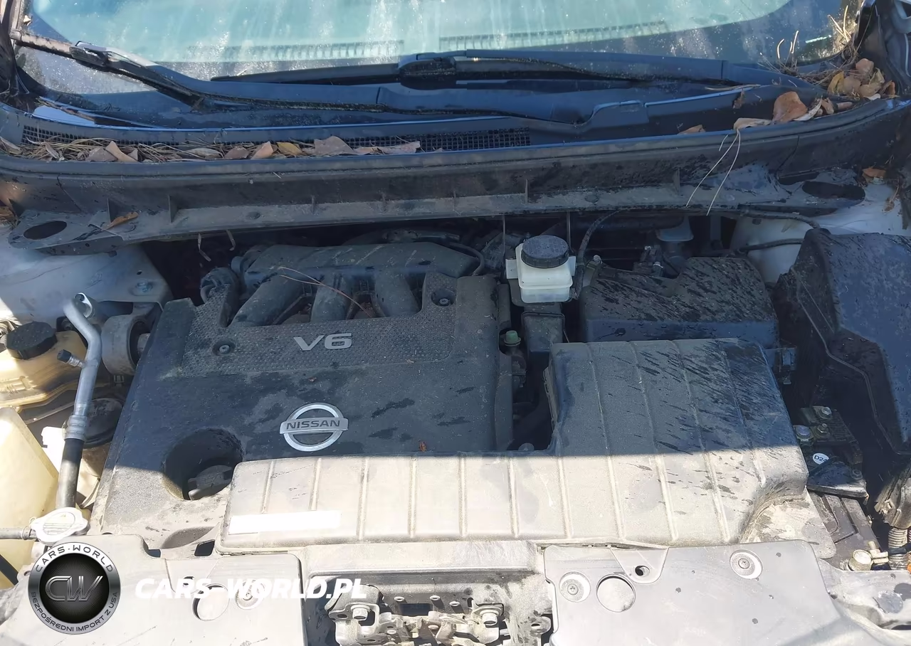 2009 Nissan Murano Sl VIN:JN8AZ18W79W139193 - 10