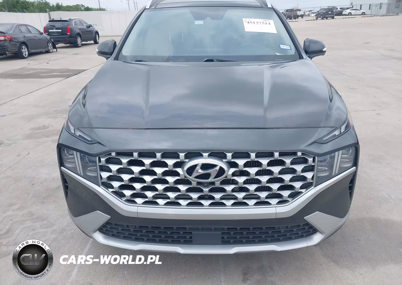 2021 Hyundai Santa Fe Limited VIN:5NMS44ALXMH317805 - 12