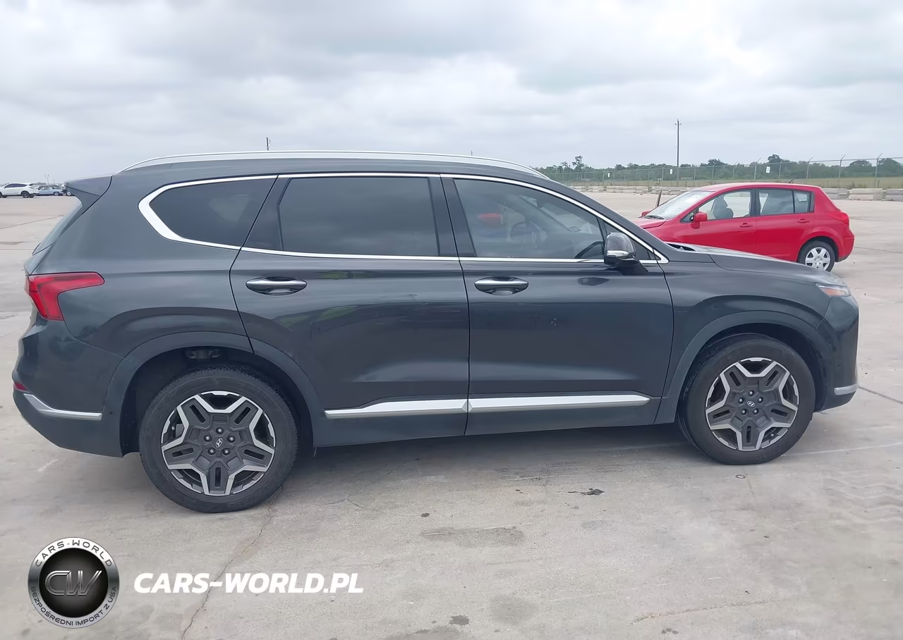 2021 Hyundai Santa Fe Limited VIN:5NMS44ALXMH317805 - 13