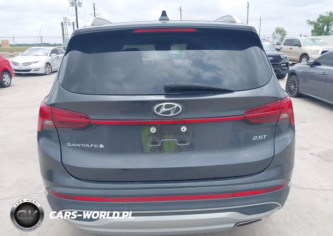 2021 Hyundai Santa Fe Limited VIN:5NMS44ALXMH317805 - 16
