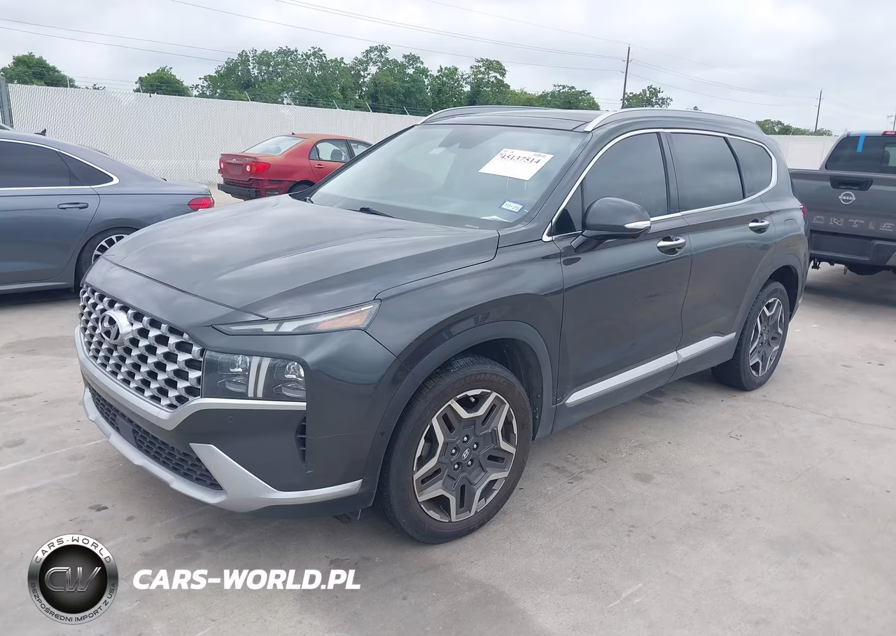 2021 Hyundai Santa Fe Limited VIN:5NMS44ALXMH317805 - 2