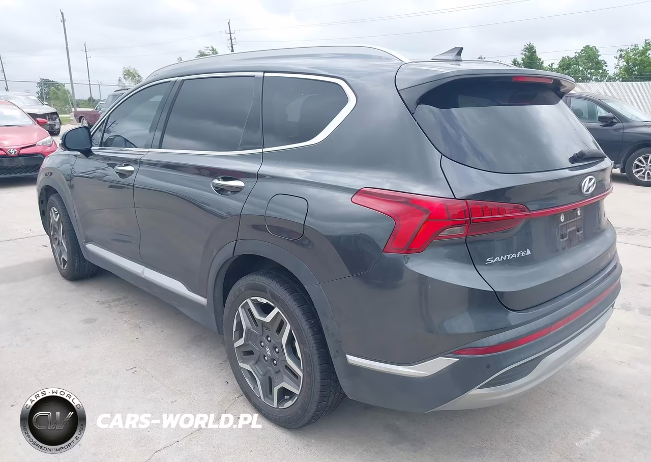 2021 Hyundai Santa Fe Limited VIN:5NMS44ALXMH317805 - 3