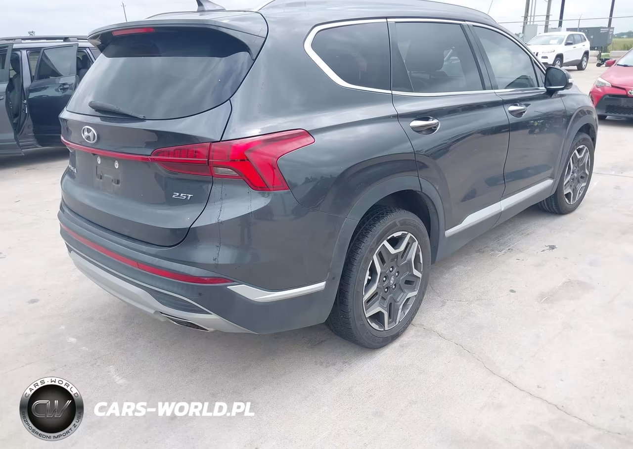 2021 Hyundai Santa Fe Limited VIN:5NMS44ALXMH317805 - 4
