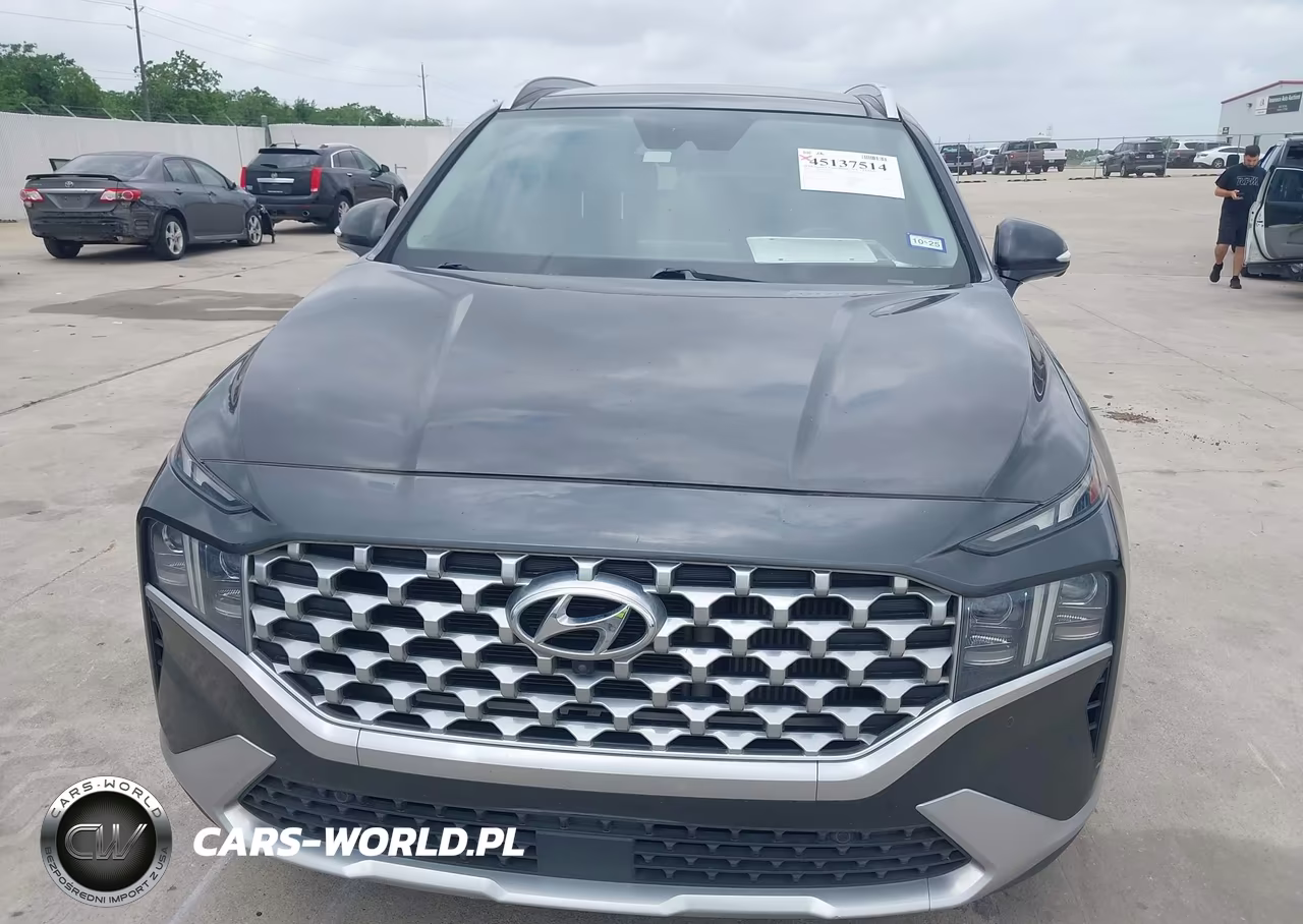 2021 Hyundai Santa Fe Limited VIN:5NMS44ALXMH317805 - 6